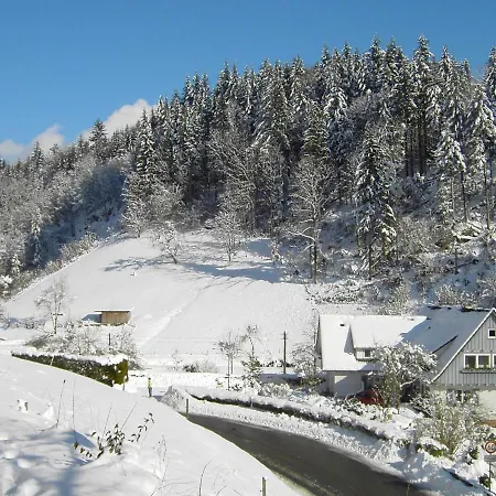 Holiday In Black Forest National Park *