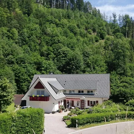 Holiday In Black Forest National Park *