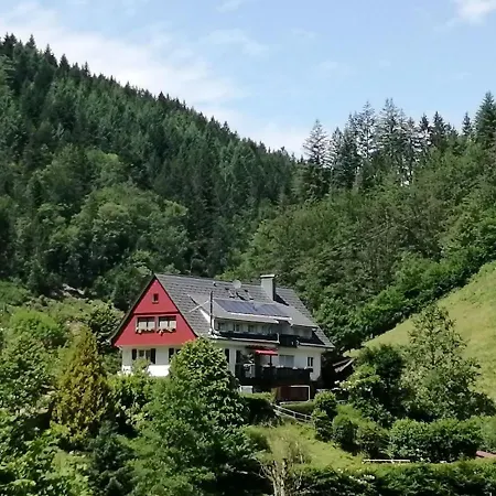 Holiday In Black Forest National Park *