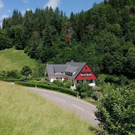 Holiday In Black Forest National Park Daire Oppenau