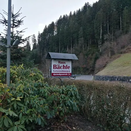 Holiday In Black Forest National Park Daire *
