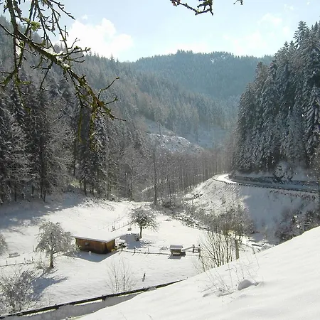 Holiday In Black Forest National Park Oppenau