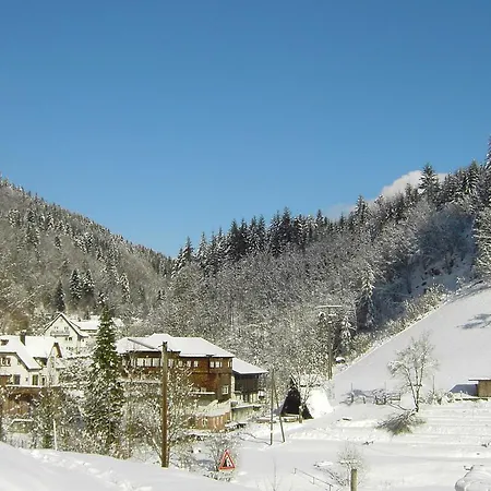 Daire Holiday In Black Forest National Park *