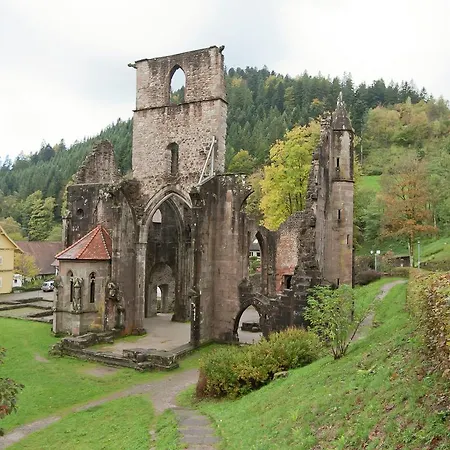Holiday In Black Forest National Park