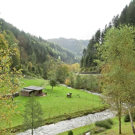 Daire Holiday In Black Forest National Park Oppenau